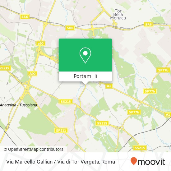 Mappa Via Marcello Gallian / Via di Tor Vergata