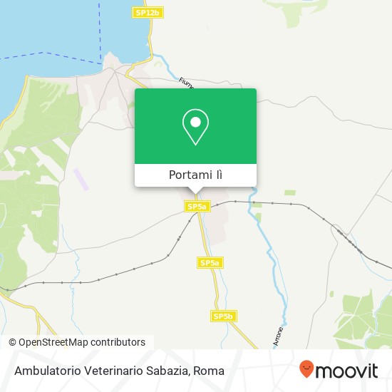 Mappa Ambulatorio Veterinario Sabazia