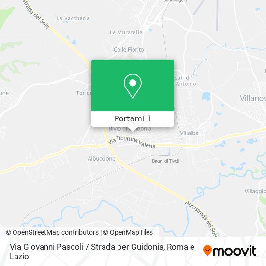 Mappa Via Giovanni Pascoli / Strada per Guidonia