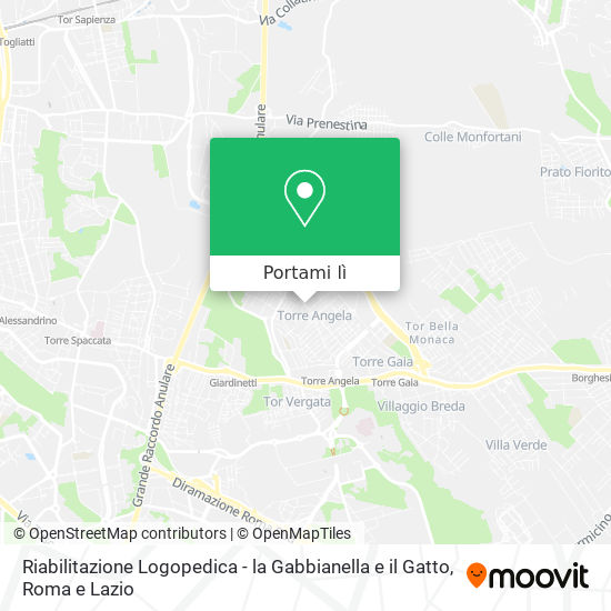 Mappa Riabilitazione Logopedica - la Gabbianella e il Gatto