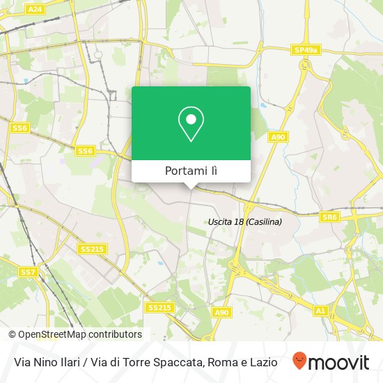 Mappa Via Nino Ilari / Via di Torre Spaccata