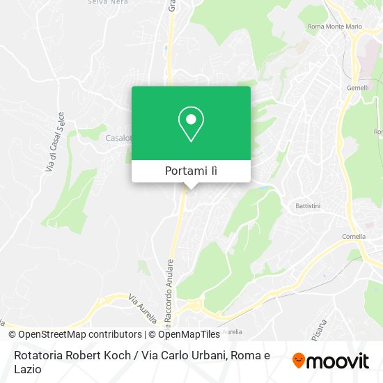 Mappa Rotatoria Robert Koch / Via Carlo Urbani