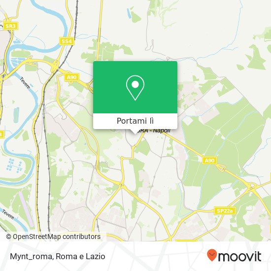 Mappa Mynt_roma