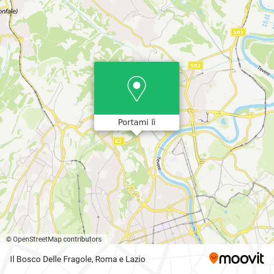 Mappa Il Bosco Delle Fragole