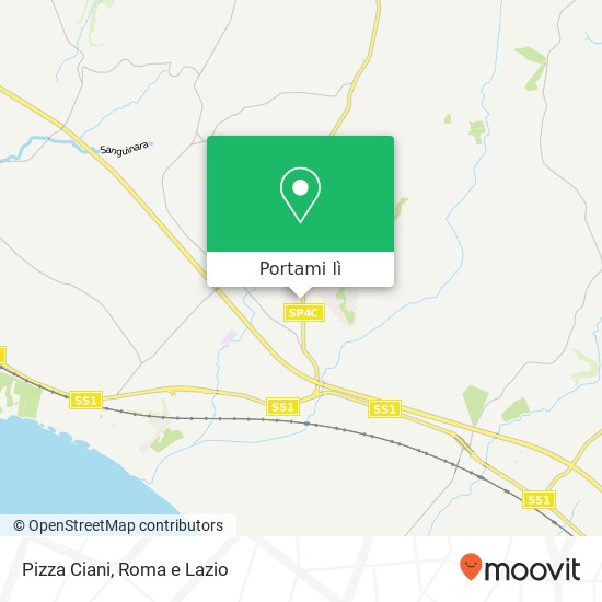 Mappa Pizza Ciani