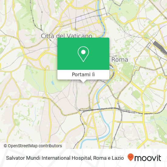 Mappa Salvator Mundi International Hospital