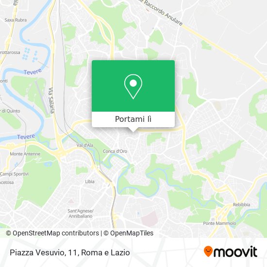 Mappa Piazza Vesuvio, 11