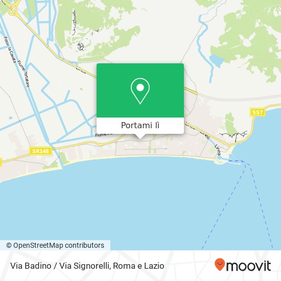 Mappa Via Badino / Via Signorelli