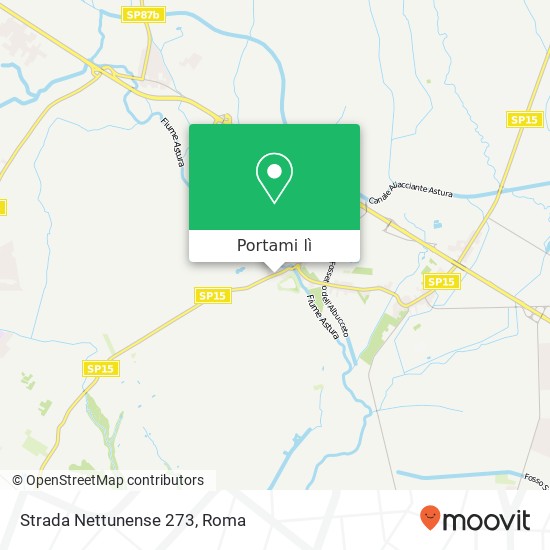 Mappa Strada Nettunense  273