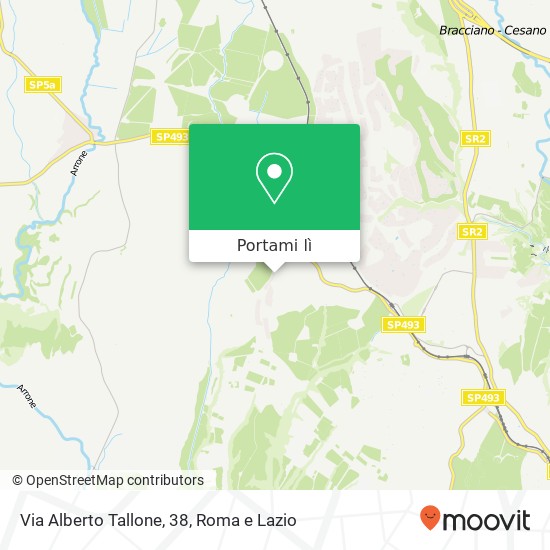 Mappa Via Alberto Tallone, 38