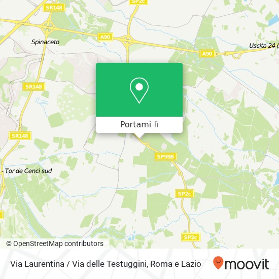 Mappa Via Laurentina / Via delle Testuggini