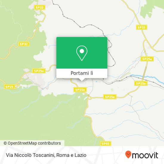 Mappa Via Niccolò Toscanini