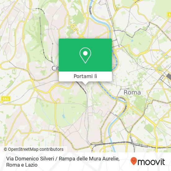 Mappa Via Domenico Silveri / Rampa delle Mura Aurelie