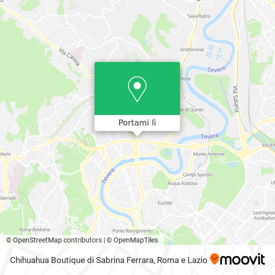 Mappa Chihuahua Boutique di Sabrina Ferrara