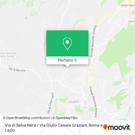 Mappa Via di Selva Nera / Via Giulio Cesare Graziani