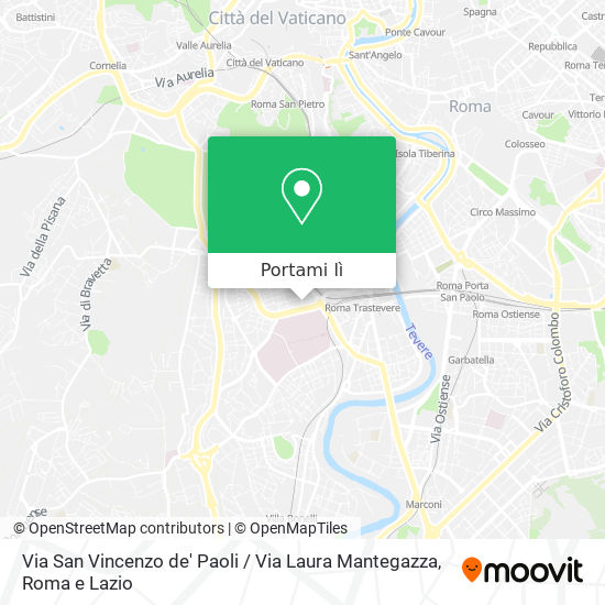 Mappa Via San Vincenzo de' Paoli / Via Laura Mantegazza