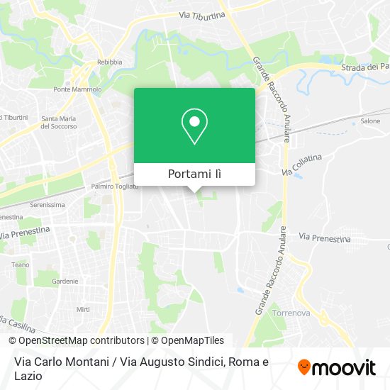 Mappa Via Carlo Montani / Via Augusto Sindici