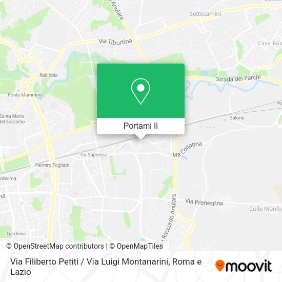 Mappa Via Filiberto Petiti / Via Luigi Montanarini