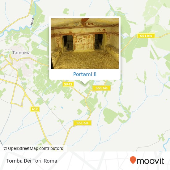 Mappa Tomba Dei Tori