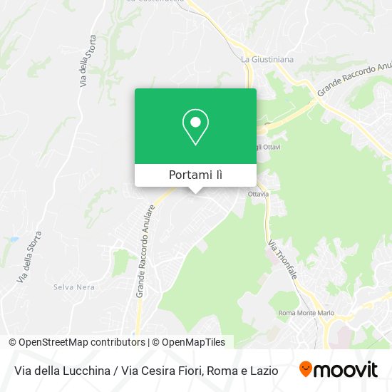 Mappa Via della Lucchina / Via Cesira Fiori