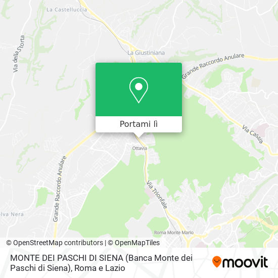 Mappa MONTE DEI PASCHI DI SIENA (Banca Monte dei Paschi di Siena)