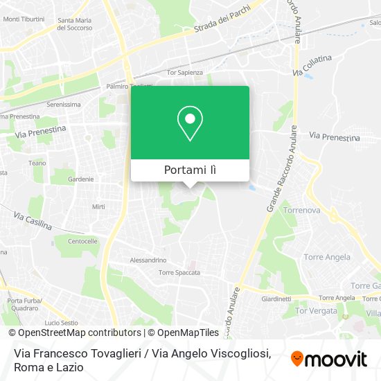 Mappa Via Francesco Tovaglieri / Via Angelo Viscogliosi