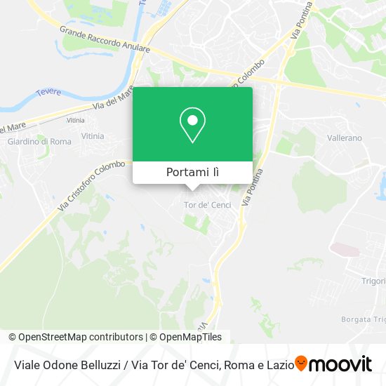 Mappa Viale Odone Belluzzi / Via Tor de' Cenci