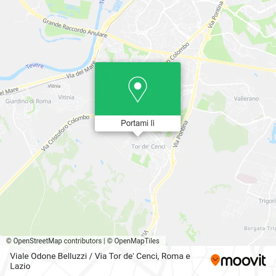 Mappa Viale Odone Belluzzi / Via Tor de' Cenci
