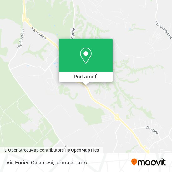 Mappa Via Enrica Calabresi