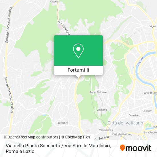 Mappa Via della Pineta Sacchetti / Via Sorelle Marchisio