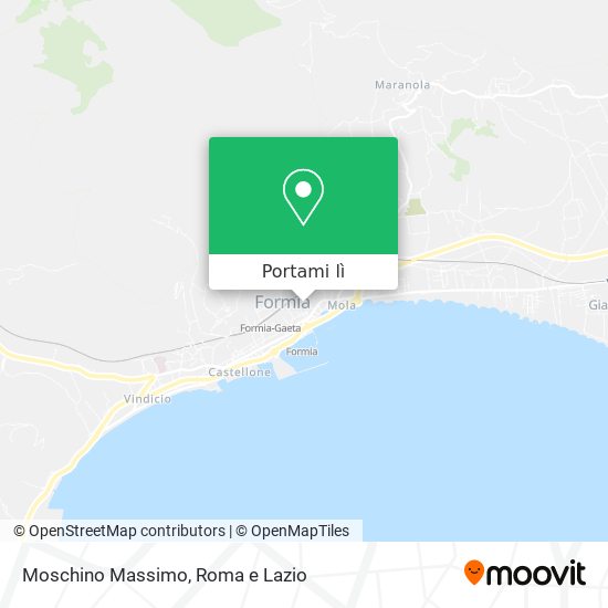 Mappa Moschino Massimo