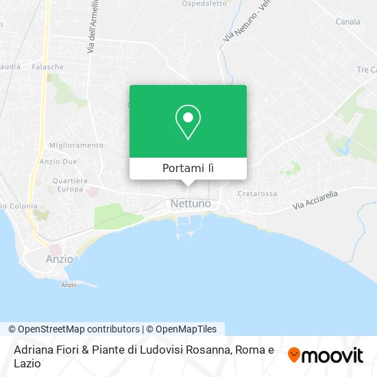 Mappa Adriana Fiori & Piante di Ludovisi Rosanna