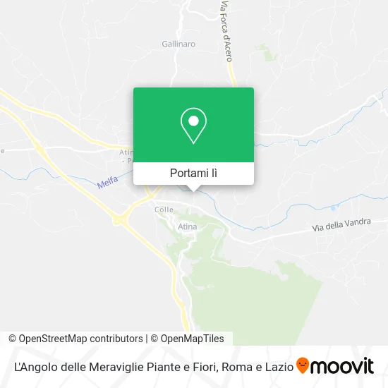 Mappa L'Angolo delle Meraviglie Piante e Fiori