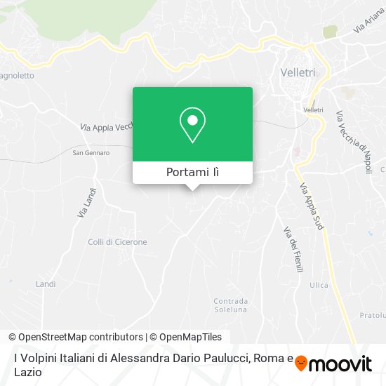 Mappa I Volpini Italiani di Alessandra Dario Paulucci