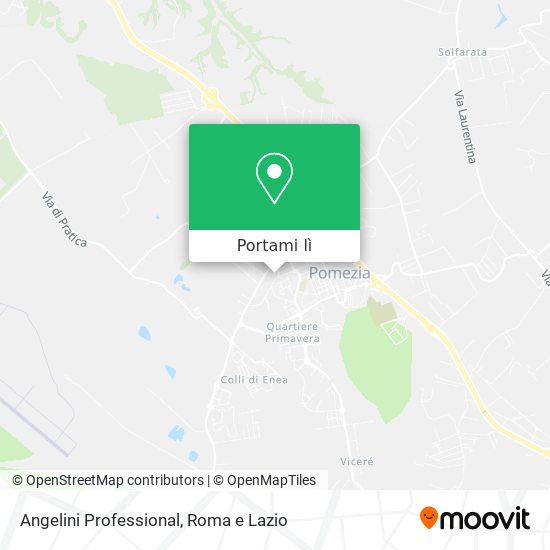 Mappa Angelini Professional