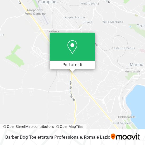 Mappa Barber Dog Toelettatura Professionale