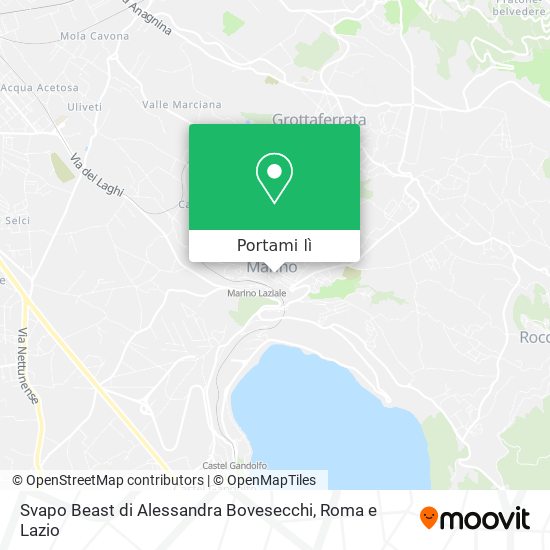 Mappa Svapo Beast di Alessandra Bovesecchi