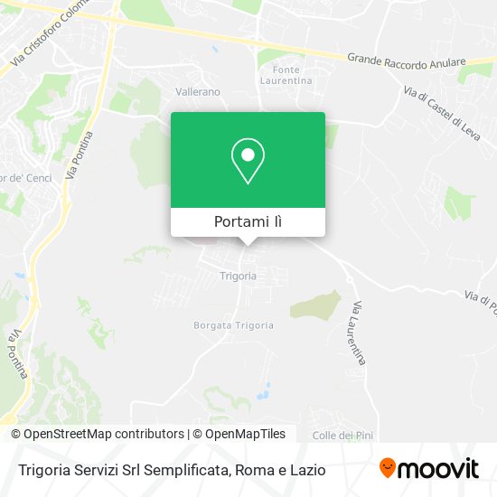 Mappa Trigoria Servizi Srl Semplificata