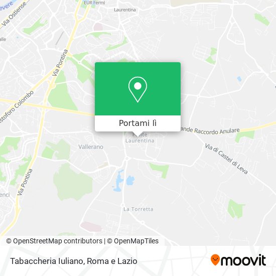 Mappa Tabaccheria Iuliano