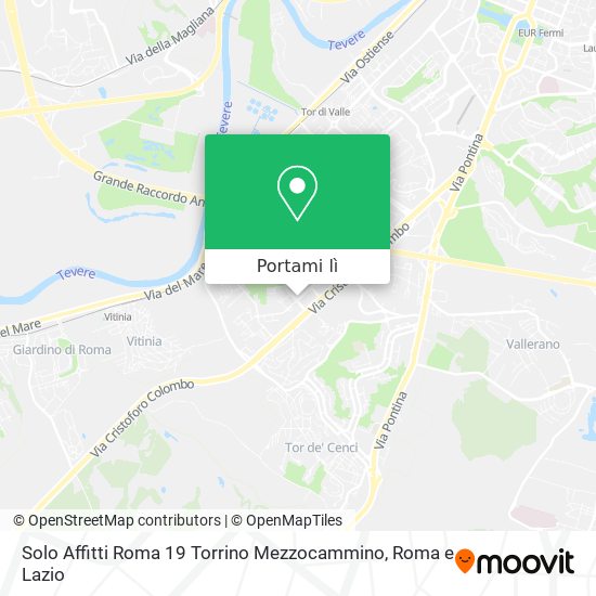 Mappa Solo Affitti Roma 19 Torrino Mezzocammino