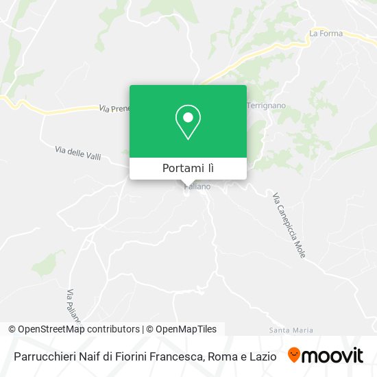 Mappa Parrucchieri Naif di Fiorini Francesca