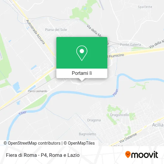 Mappa Fiera di Roma - P4