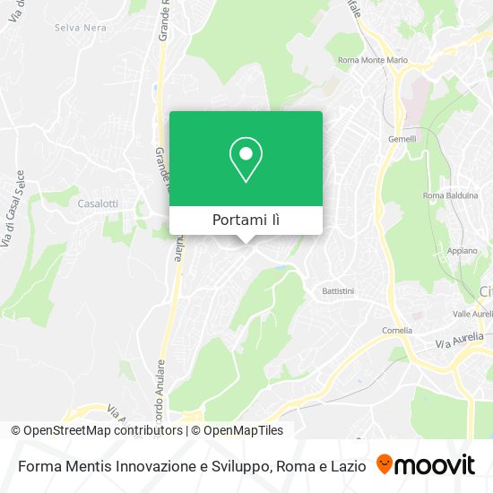 Mappa Forma Mentis Innovazione e Sviluppo