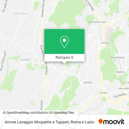 Mappa Airone Lavaggio Moquette e Tappeti