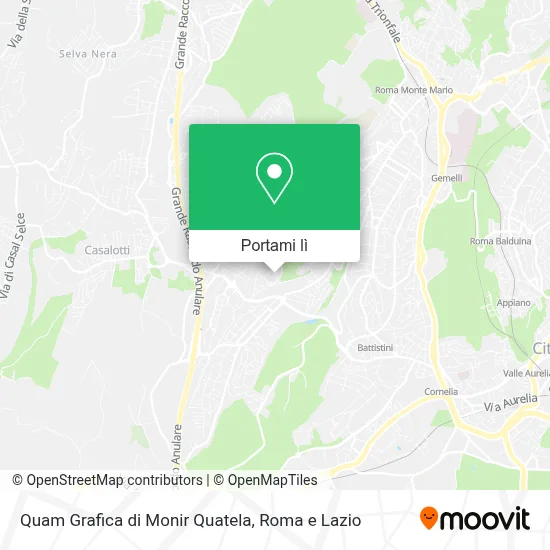 Mappa Quam Grafica di Monir Quatela