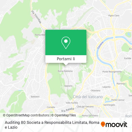 Mappa Auditing 80 Societa a Responsabilita Limitata