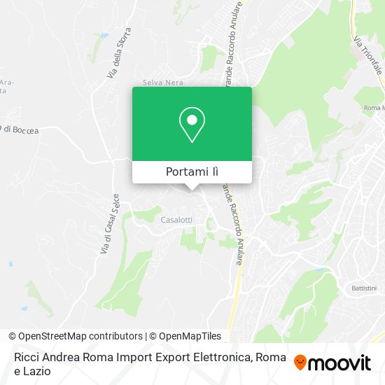 Mappa Ricci Andrea Roma Import Export Elettronica