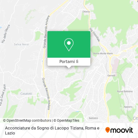 Mappa Acconciature da Sogno di Lacopo Tiziana