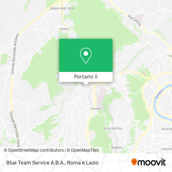 Mappa Blue Team Service A.B.A.