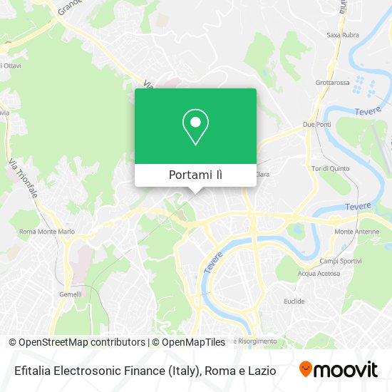 Mappa Efitalia Electrosonic Finance (Italy)